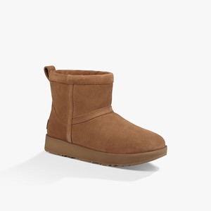 Ugg Classic Mini Waterproof Women Classic Boots Brown (0587OWRQF)